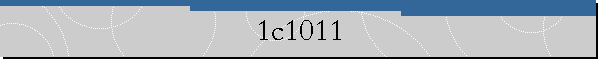 1c1011