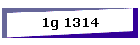 1g 1314