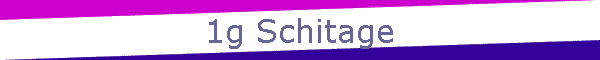 1g Schitage