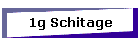 1g Schitage