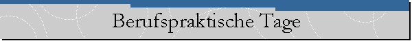 Berufspraktische Tage
